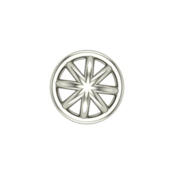 Shashi Gold Nosepin…