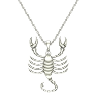 June Scorpio White Gold Zodiac Pendant Designs For Female