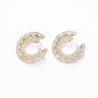 925 Sterling Silver Round Earrings