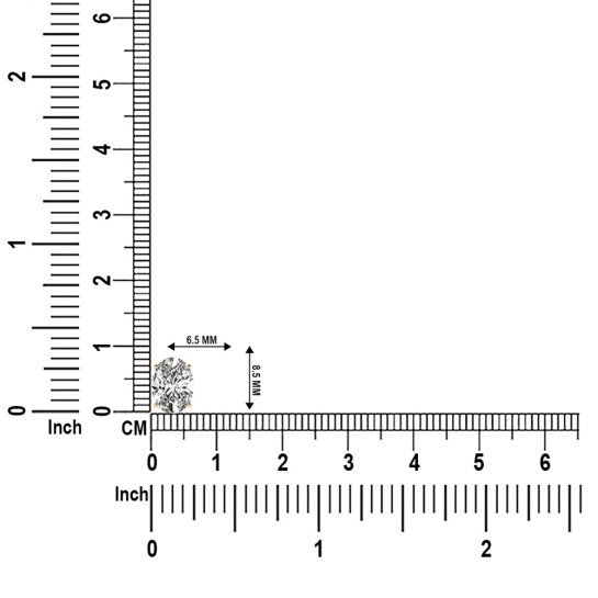 Rati Yellow Gold Stud Earrings for Women