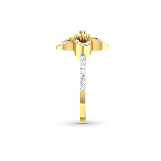 Tina Gold and Diamond Ring