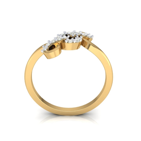 Nita Gold and Diamond Ring