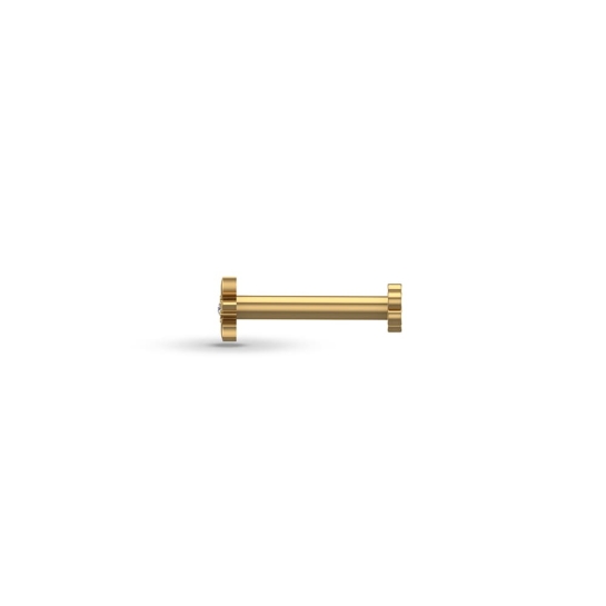 Ekani Gold Diamond Nosepin Screw