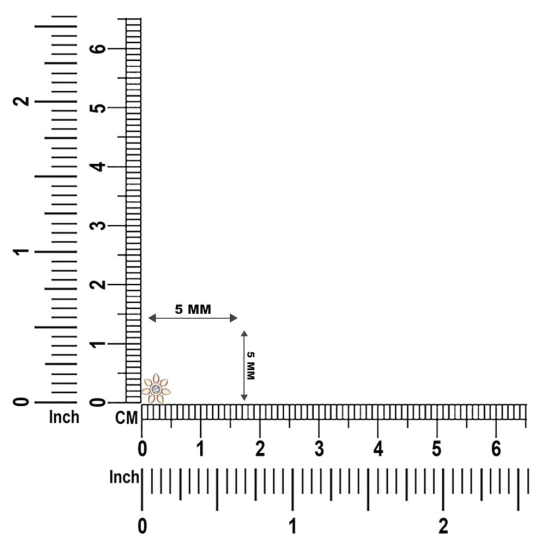 Ekantika Gold Diamond Nosepin Screw