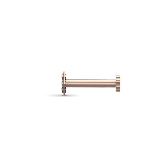 Lipika Gold Diamond Nosepin Screw