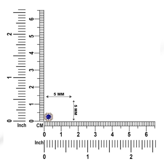 Netra Gold Nosepin Screw