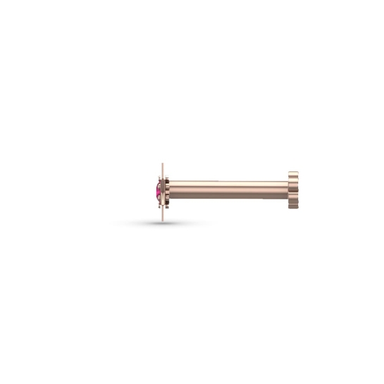 Nirja Gold Nosepin Screw