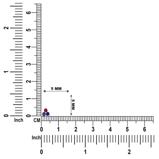 Omisha Gold Nosepin Screw