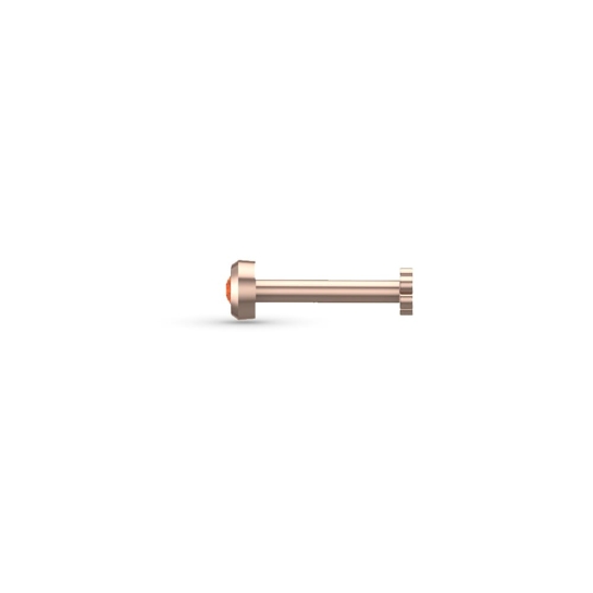 Omya Gold Nosepin Screw