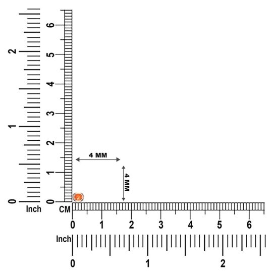 Omya Gold Nosepin Screw