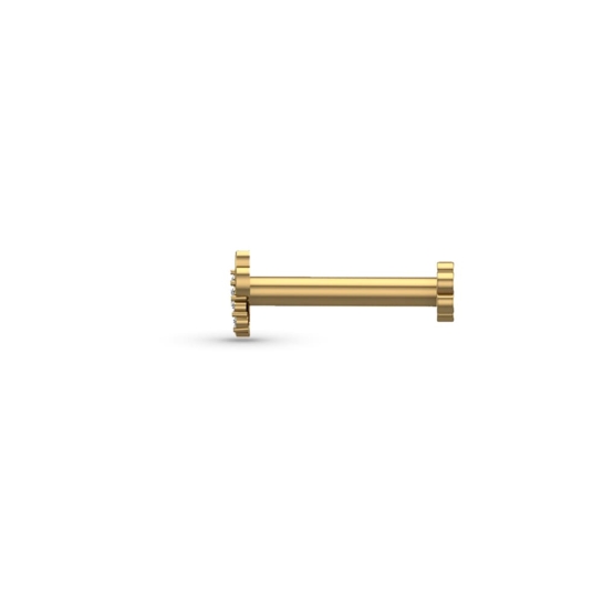 Tanmayi Gold Diamond Nosepin Screw