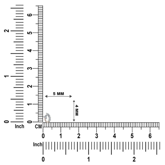 Turvi Gold Diamond Nosepin Screw