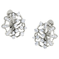 Anaya White Gold  Earrings 