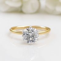 Rosemary Certified Labgrown Diamond Ring