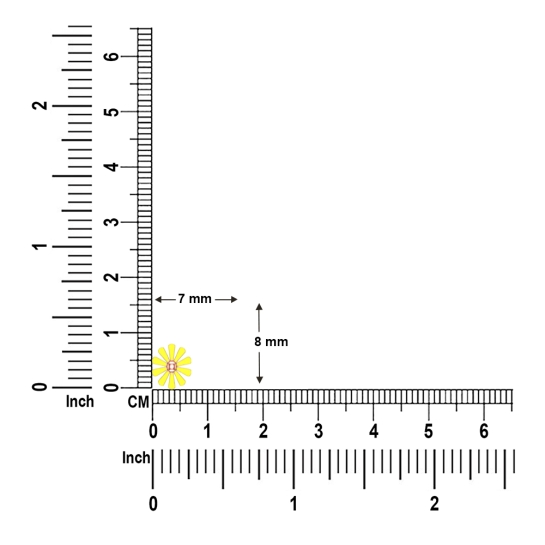 Sunshine Petal Earrings