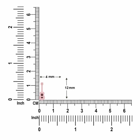 Golden Guitar Earrings