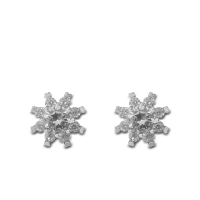 925 Sterling Silver Anaya Earrings