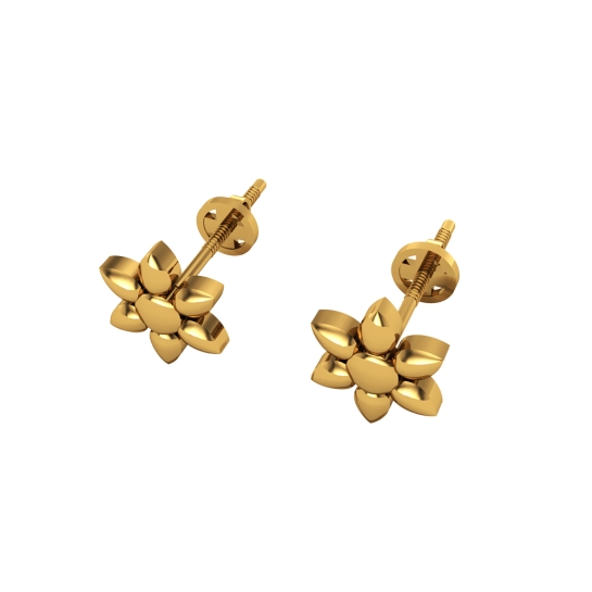 Beautiful Stud Earrings 