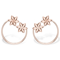 Karla Gold Earrings Design for daily use 