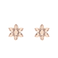 Renu Gold Stud Earring