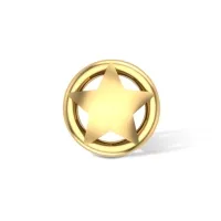 Avni Gold Nosepin