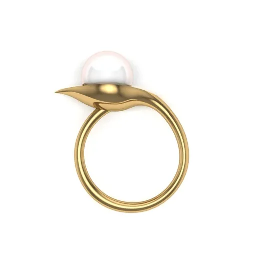 Pragya Rings Of Gold Pragya Rings Of Gold