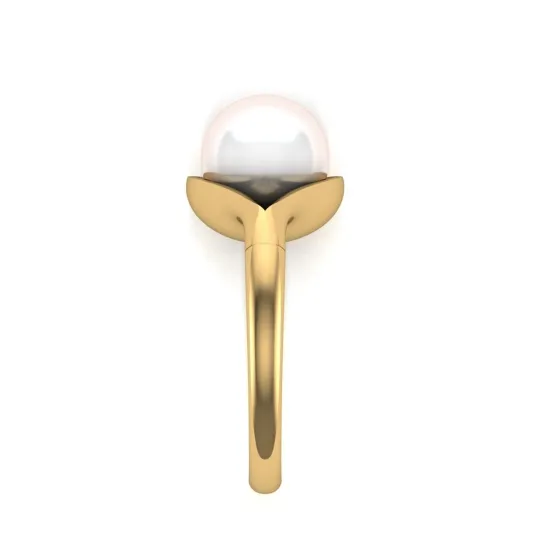 Pragya Rings Of Gold Pragya Rings Of Gold