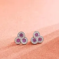 925 Sterling Silver Tashu Earrings