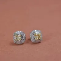 925 Sterling Silver Asha Earrings