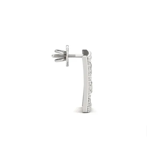 Varnika Silver Studs Earrings Varnika Silver Studs Earrings