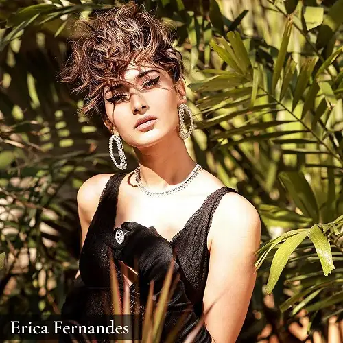 erica fernandes dishis celebrities